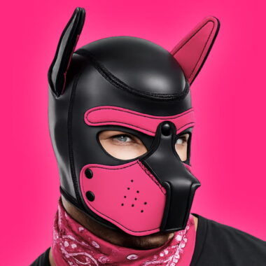 pup hood of neoprene material in black and pink