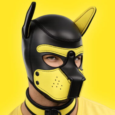 pup hood of neoprene material in yellow and black
