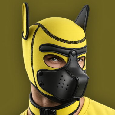 pup hood of neoprene material in yellow and black