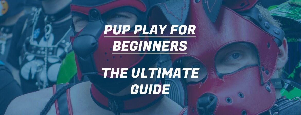 two gay pups learning how to pup play through a guide at pride