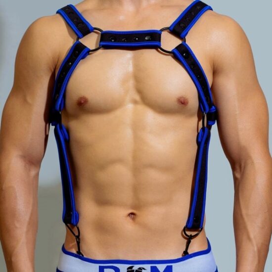 Puppy play suspender harness blue