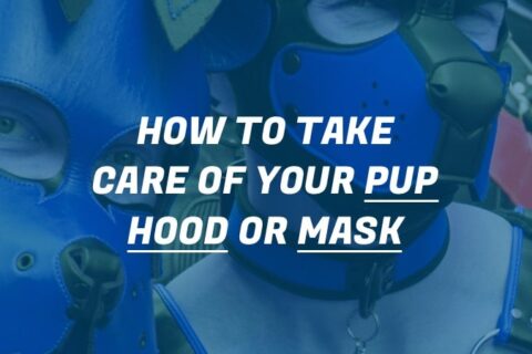 Pups taking care of their neoprene pup hood and mask