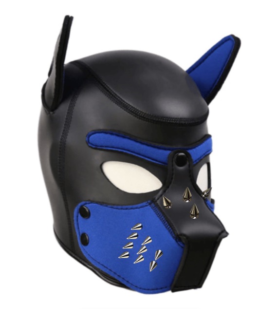 pup hood with spikes