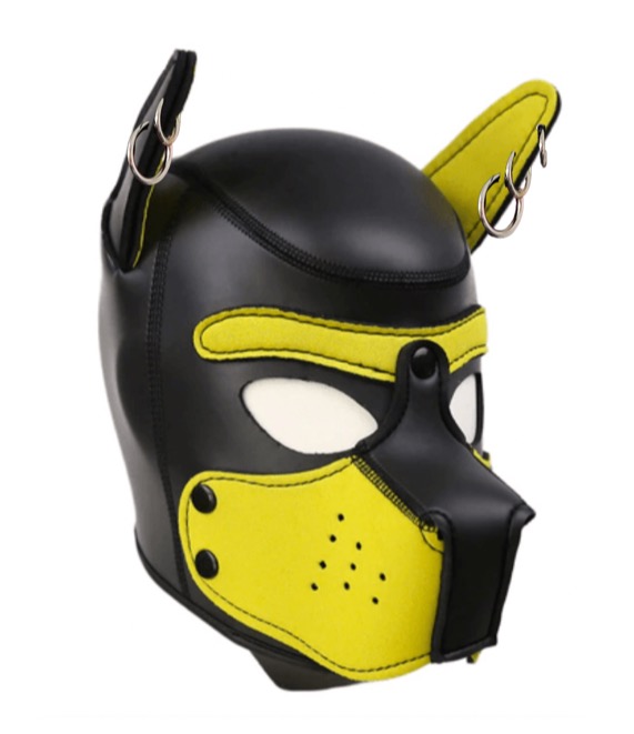 pup mask with earrings