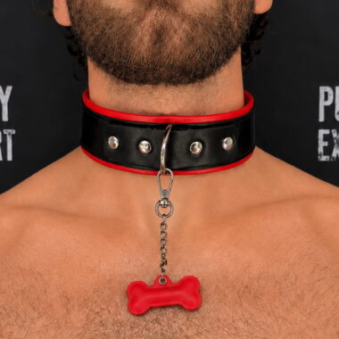 human puppy play collar in red leather