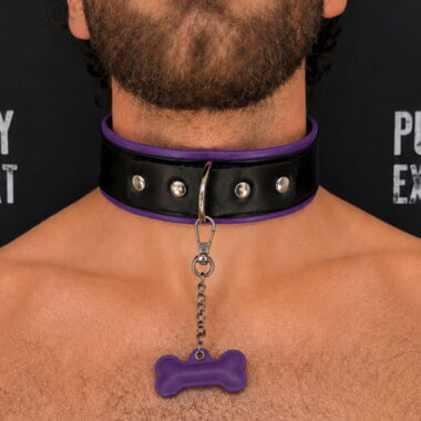 leather puppy play collar with purple color elements