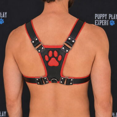 GB leather pup play harness in red color