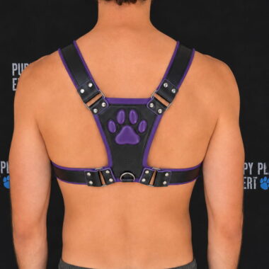 GB Leather Pup Play Harness in Purple Color