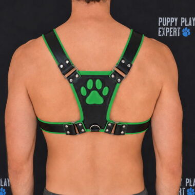 GB Leather pup play harness in green color