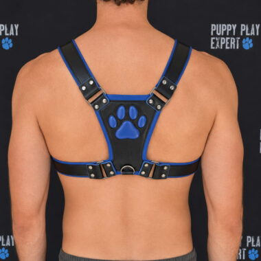 gb leather pup play harness in royal blue color