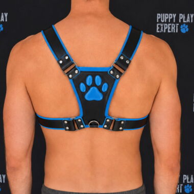 GB Leather pup play harness in sky blue color