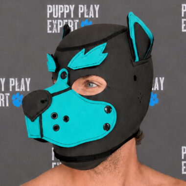 GB Neoprene Puppy Hood - Aqua Pup bushy eyebrows