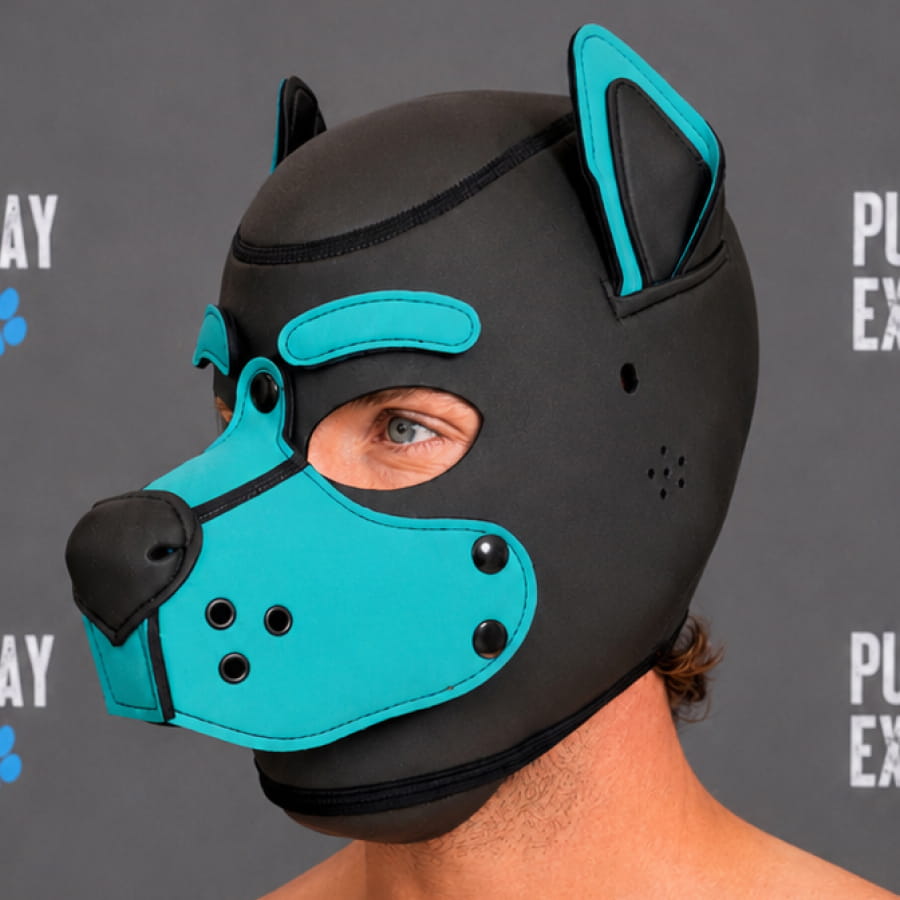 GB Neoprene Puppy Hood - Aqua Pup normal eyebrows aqua blue neoprene puppy hood