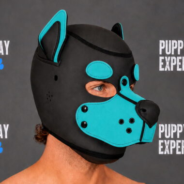 GB Neoprene Puppy Hood - Aqua Pup round eyebrows