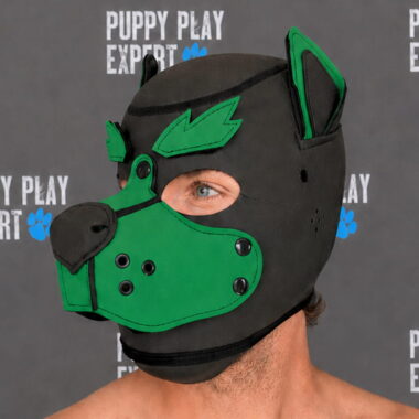GB Neoprene Puppy Hood - Forest Teal bushy eyebrows