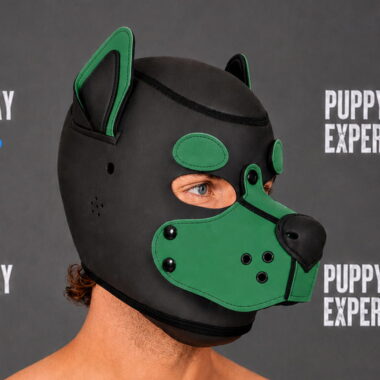 GB Neoprene Puppy Hood - Forest Teal round eyebrows