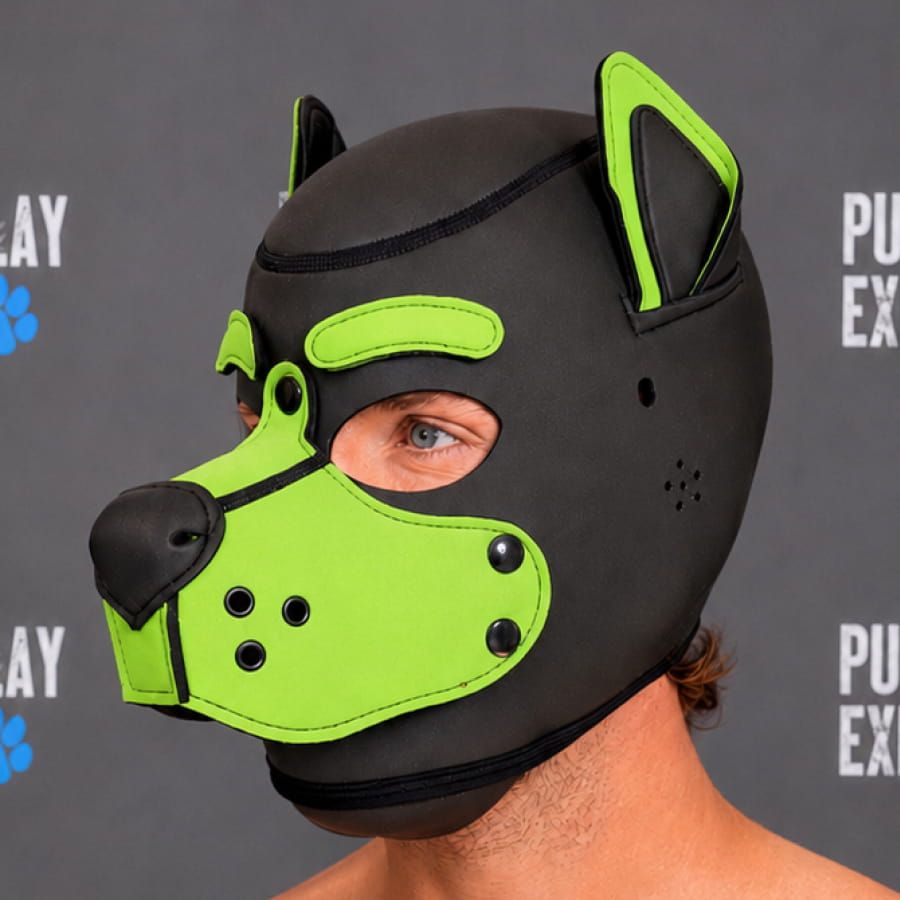 GB Neoprene Puppy Hood - Light Green normal eyebrows light green neoprene puppy hood