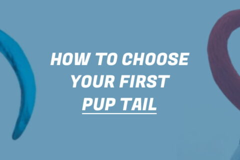 pup play plug tail and show tail comparison