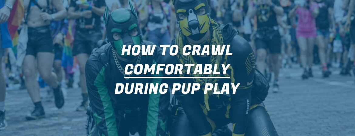 pups crawling during folsom berlin