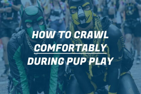 pups crawling during folsom berlin